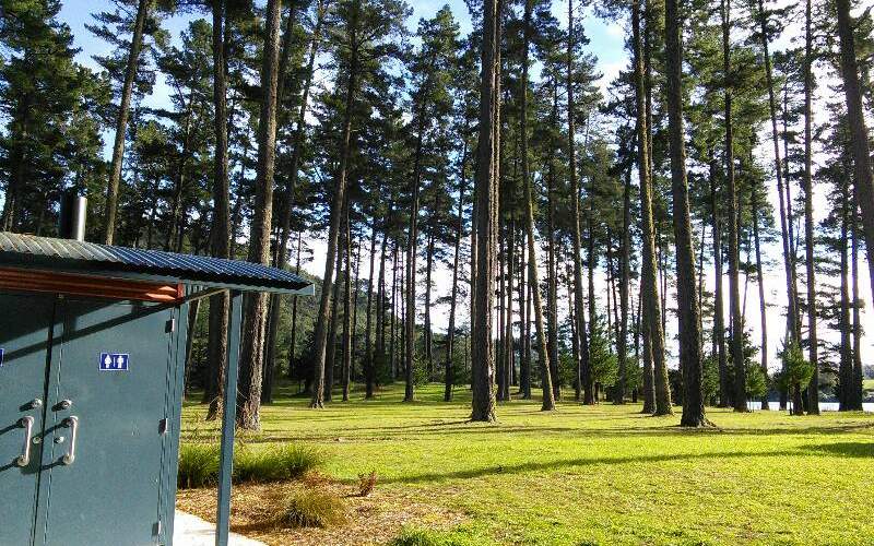 Whakamaru Reserve Freedom/Basic Camp New Zealand